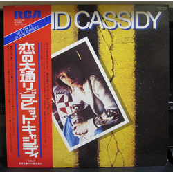 David Cassidy Gettin' It in The Street VINYL LP - Stereo