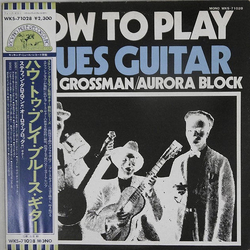 Rory Block Stefan Grossman How To Play Blues Guitar VINYL LP - Mono