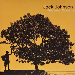 Jack Johnson In Between Dreams VINYL LP