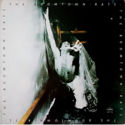 The Boomtown Rats The Boomtown Rats VINYL LP