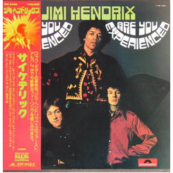 The Jimi Hendrix Experience Are You Experienced VINYL LP - Mono Reissue