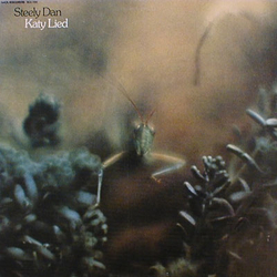 Steely Dan Katy Lied VINYL LP - Reissue