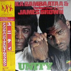 Afrika Bambaataa James Brown Unity VINYL 12INCH