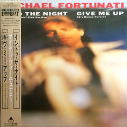 Michael Fortunati Into The Night / Give Me Up VINYL 12" - 45 RPM