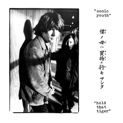 Sonic Youth Hold That Tiger VINYL LP
