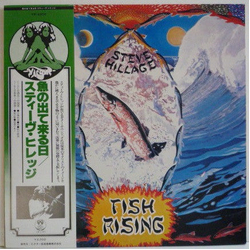 Steve Hillage Fish Rising VINYL LP - Reissue Japan