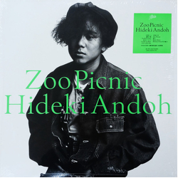 Hideki Andoh Zoo Picnic VINYL LP