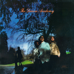 The Dream Academy The Dream Academy VINYL LP - Stereo