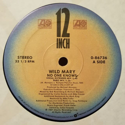 Wild Mary No One Knows VINYL 12" - 33 ⅓ RPM Stereo