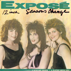Exposé Seasons Change VINYL 12" - 33 ⅓ RPM Single