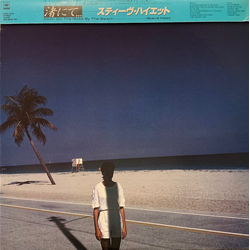 Steve Hiett Down On The Road By The Beach VINYL LP