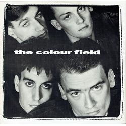 The Colourfield Things Could Be Beautiful VINYL 12" - 45 RPM Single Stereo