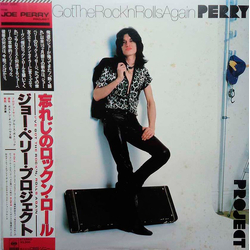 The Joe Perry Project I've Got The Rock 'N' Rolls Again VINYL LP