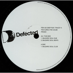 Fish Go Deep The Cure & The Cause VINYL 12" - Promo UK