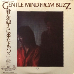 Buzz (29) Gentle Mind From Buzz VINYL LP Japan