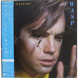 Shaun Cassidy Wasp VINYL LP Japan
