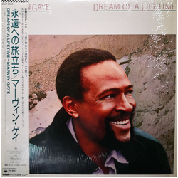 Marvin Gaye Dream Of A Lifetime VINYL LP - Stereo
