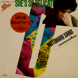 Motoharu Sano Motoharu Sano 彼女はデリケート = She's So Delicate VINYL 7" - 45 RPM Single Stereo