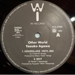 Yasuko Agawa Other World VINYL 12" - 33 ⅓ RPM Promo Sampler Stereo