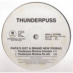 Abigail D.D. Sound Thunderpuss Papa's Got A Brand New Pigbag/Cafe (Remix)/Let The Joy Rise VINYL 12" - 33 ⅓ RPM Promo
