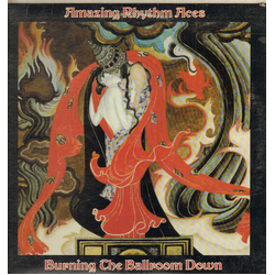 The Amazing Rhythm Aces Burning The Ballroom Down VINYL LP