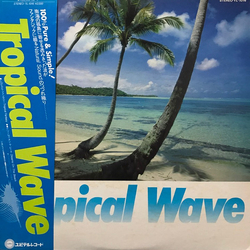 Unknown Artist Tropical Wave VINYL LP