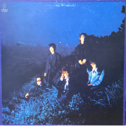 Up-Beat Image VINYL LP