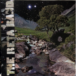 The Beta Band The Beta Band VINYL LP