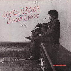 James Brown In The Jungle Groove VINYL LP - Compilation Remastered