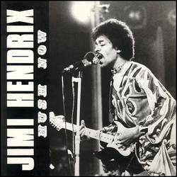 Jimi Hendrix Hush Now VINYL LP