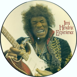 The Jimi Hendrix Experience Hey Joe VINYL 12" - Limited Edition Maxi-Single Picture Disc