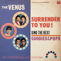 The Venus Surrender To You! VINYL LP