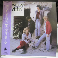 Wednesday Week What We Had VINYL LP