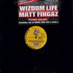 Matt Fingaz Wizdom Life Fruits Of Labor In The Sunshine VINYL 12" - 33 ⅓ RPM
