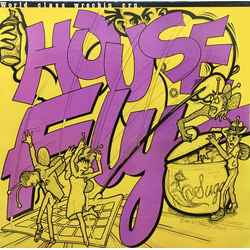 World Class Wreckin' Cru House Fly VINYL 12" - 33 ⅓ RPM