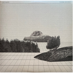 1000 Names Invisible Architect VINYL LP - Limited Edition
