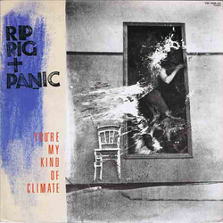 Rip Rig & Panic You're My Kind Of Climate VINYL 12" - 45 RPM Single