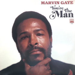 Marvin Gaye You're The Man VINYL LP - Compilation
