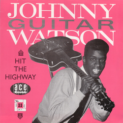 Johnny Guitar Watson Hit The Highway VINYL LP - Compilation