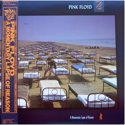 Pink Floyd A Momentary Lapse Of Reason = 鬱 VINYL LP