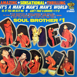 James Brown It's A Man's, Man's, Man's World VINYL LP - Reissue Stereo