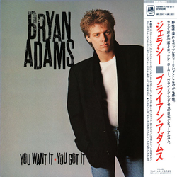 Bryan Adams You Want It You Got It VINYL LP