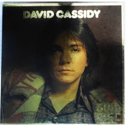 David Cassidy New Gold Disc VINYL LP - Compilation Stereo