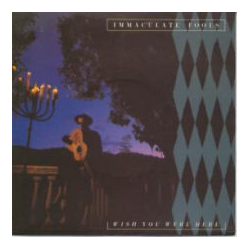 Immaculate Fools Wish You Were Here VINYL 12" - 45 RPM Maxi-Single