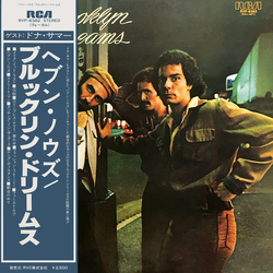 Brooklyn Dreams Sleepless Nights VINYL LP