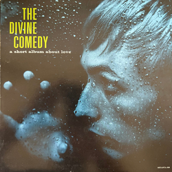 The Divine Comedy A Short Album About Love VINYL LP