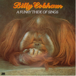 Billy Cobham A Funky Thide Of Sings VINYL LP