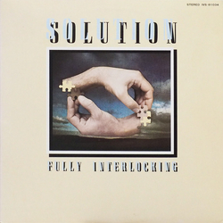 Solution (4) Fully Interlocking VINYL LP