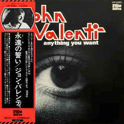 John Valenti Anything You Want VINYL LP - Promo