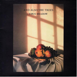 And Also The Trees Virus Meadow VINYL LP